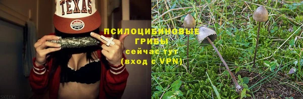 ешки Белоозёрский