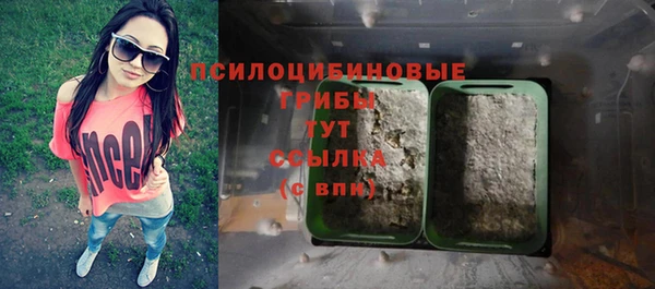 спиды Белокуриха