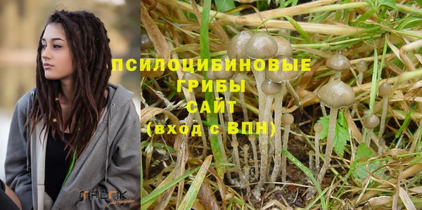 спиды Белокуриха