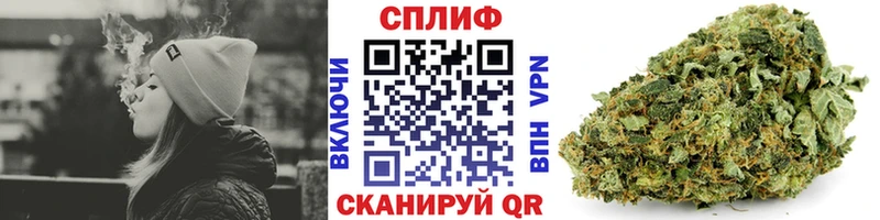 Каннабис семена Будённовск